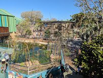 Wildlife Explorers Basecamp photo 4