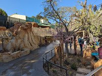 Wildlife Explorers Basecamp photo 5