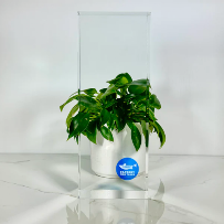 Factory Fish Tanks photo 4