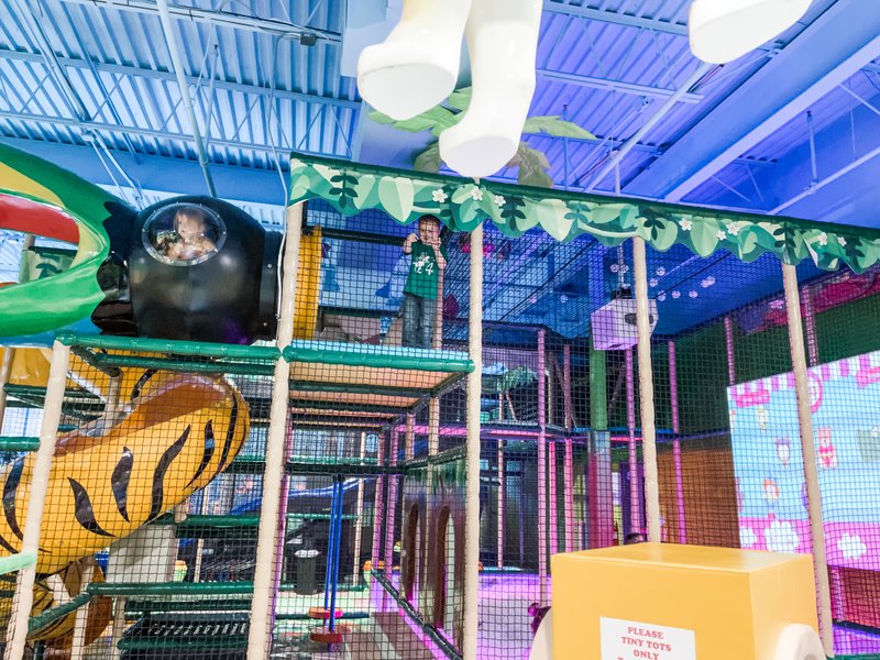 Jungle Jim & Jane photo 3
