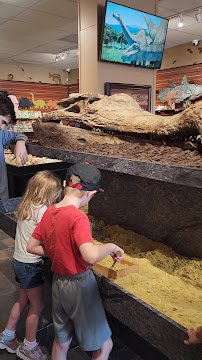 Tyrannostorus photo 2