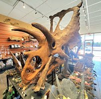 Tyrannostorus photo 4