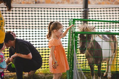 Wild Ones Ranch photo 2