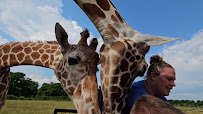 Heart of Africa photo 2
