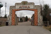 Heart of Africa photo 4