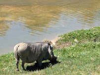 Heart of Africa photo 5