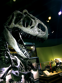 Raymond M. Alf Museum of Paleontology