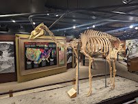 Raymond M. Alf Museum of Paleontology photo 3