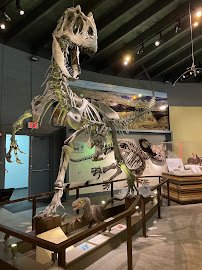 Raymond M. Alf Museum of Paleontology photo 4