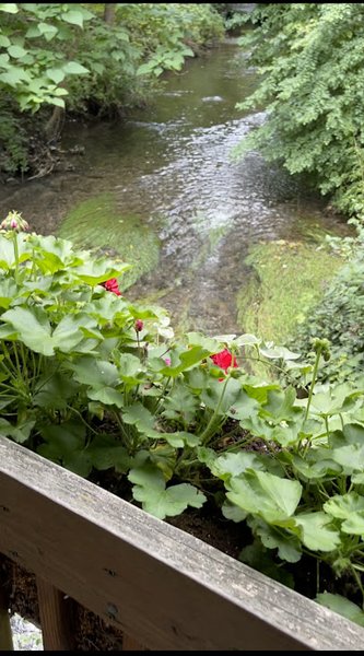 Fairmount Glen Miniature Golf photo 6