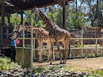 Sacramento Zoological Society