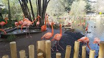 Sacramento Zoological Society photo 2