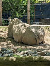 Sacramento Zoological Society photo 5