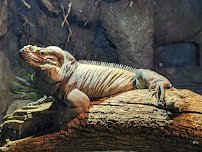 Sacramento Zoological Society photo 6