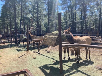 Fort Bearizona photo 6
