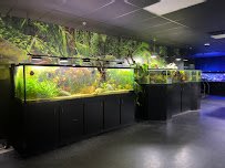 Aquarium Adventure Columbus photo 4