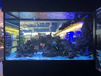 Aquarium Adventure Columbus photo 5