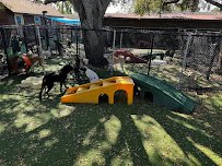 Love My Dog Resort & Waterpark photo 3