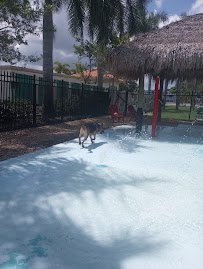 Love My Dog Resort & Waterpark photo 4