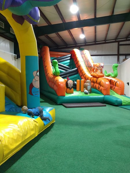 Jungle Zone photo 4