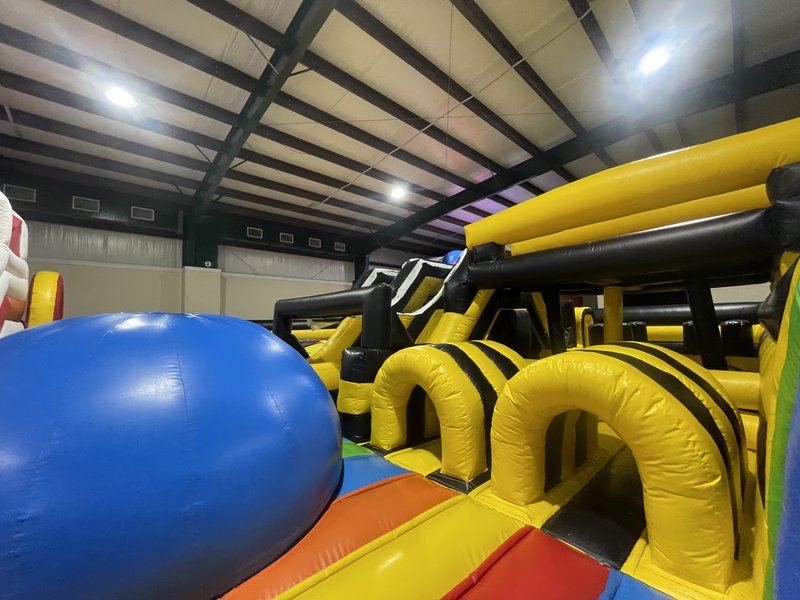 Jungle Zone photo 5