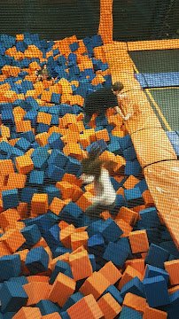 Airborne Adventure Park - Taylor, MI photo 6