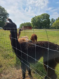 Animals R Us Petting Zoo