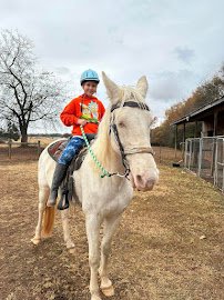 Animals R Us Petting Zoo photo 2