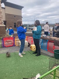 Animals R Us Petting Zoo photo 4