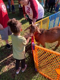 Animals R Us Petting Zoo photo 6