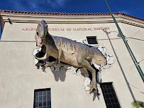 Arizona Museum of Natural History photo 3