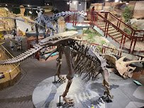 Arizona Museum of Natural History photo 4