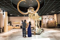 Arizona Museum of Natural History photo 6