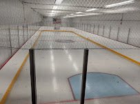 L.I.C. - ICE photo 2
