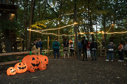 TreeRunner Rochester Adventure Park, Putt Forest & Bounce Forest