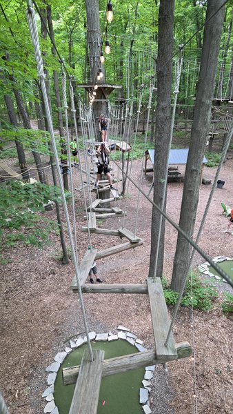 TreeRunner Rochester Adventure Park, Putt Forest & Bounce Forest photo 5