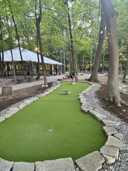 TreeRunner Rochester Adventure Park, Putt Forest & Bounce Forest photo 6