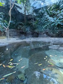 Schlessman Family Foundation Tropical Discovery