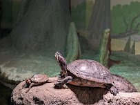 Schlessman Family Foundation Tropical Discovery photo 6
