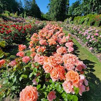 Washington Park photo 6