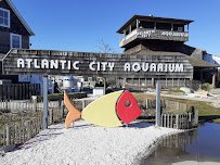 Atlantic City Aquarium photo 3