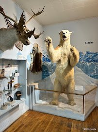 Children's Museum of Oak Ridge photo 3