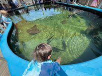 Alabama Aquarium at the Dauphin Island Sea Lab