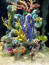 Alabama Aquarium at the Dauphin Island Sea Lab photo 6