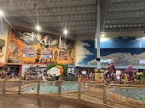 Kalahari Resorts Indoor Waterpark - Sandusky, OH