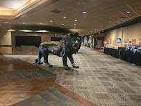 Kalahari Resorts Indoor Waterpark - Sandusky, OH photo 4