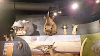 Brookshire's Wildlife Museum photo 3