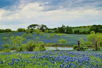 Blue Hills Ranch photo 6