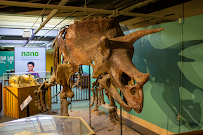 Science Spectrum & OMNI Theater photo 3