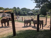 Helga Beck Asian Elephant Preserve